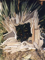 Cornice 'Così com'è'